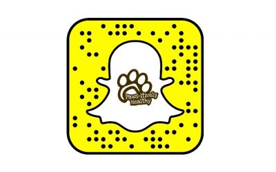 We Are On Snapchat!