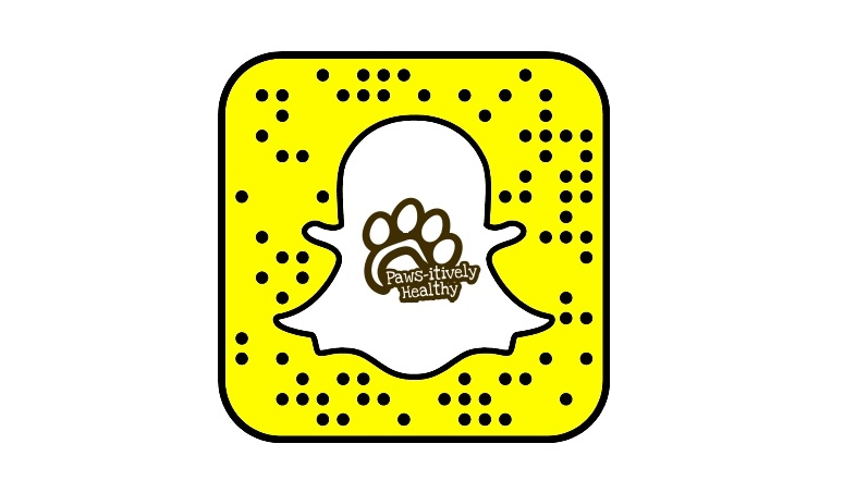 We Are On Snapchat!